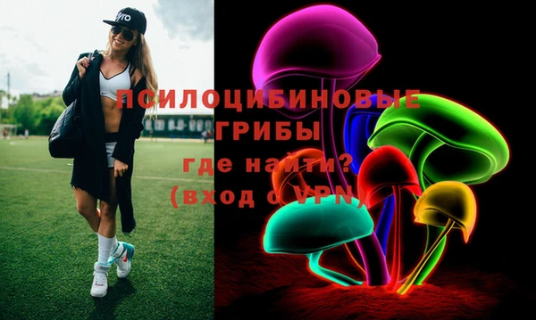 кокс Белокуриха