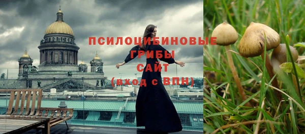 крисы Белоозёрский