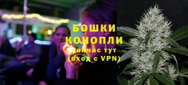 кокс Белокуриха