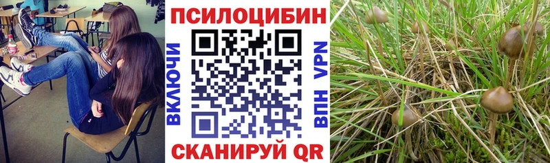 Псилоцибиновые грибы GOLDEN TEACHER MEGA маркетплейс Славгород
